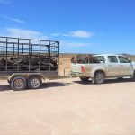 Weight Distribution Hitch REVIEWS