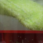 Best Grit Guard buying Guide