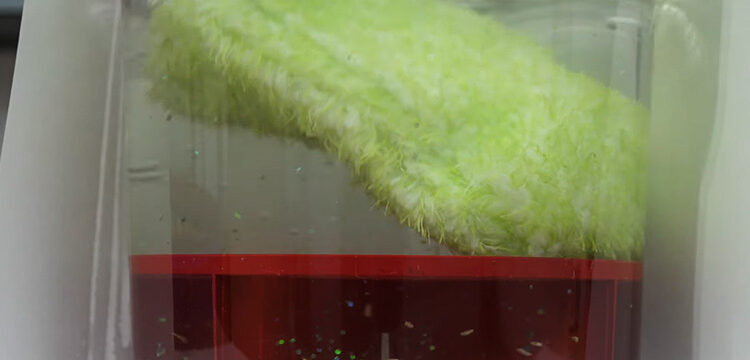 Best Grit Guard buying Guide